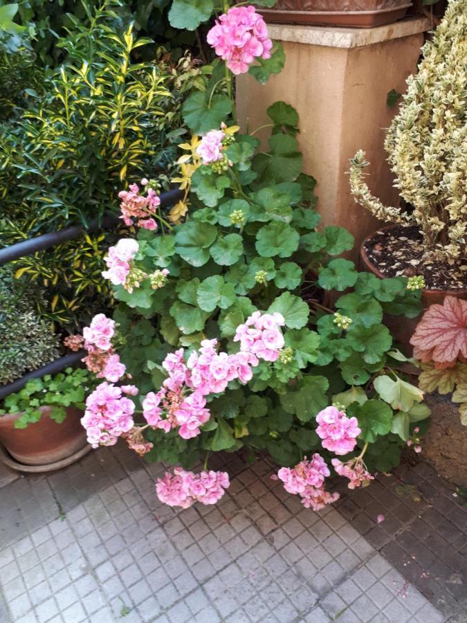 Tra Gianicolo E Trastevere Roma Exterior foto