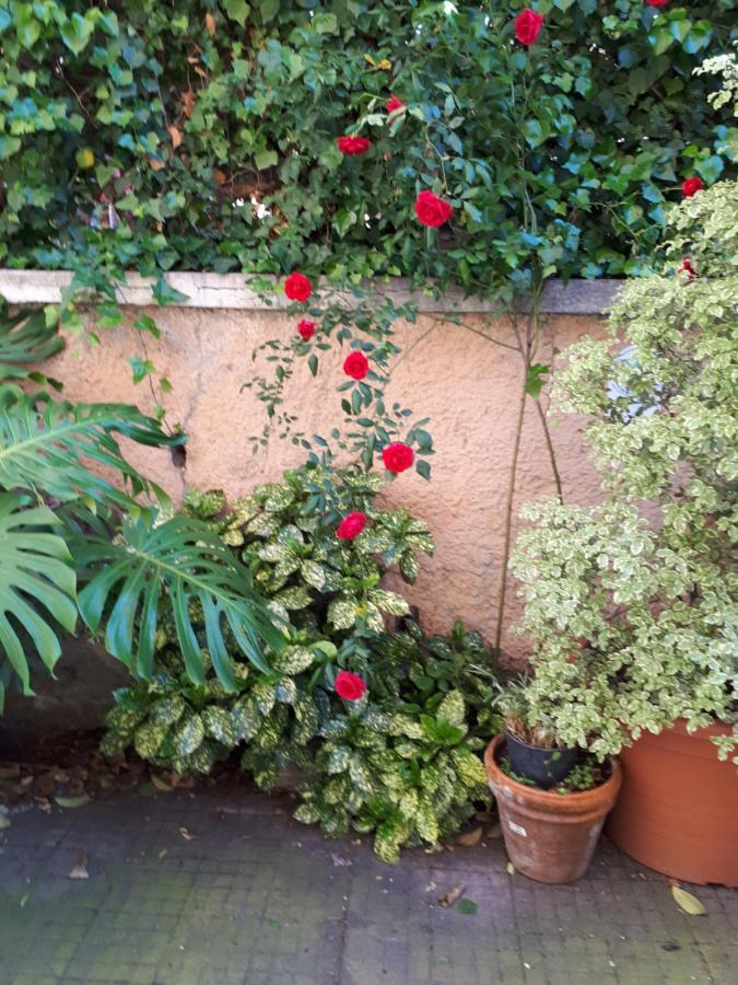 Tra Gianicolo E Trastevere Roma Exterior foto